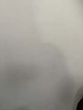 exoticshruti online show from February 2026 07:44:01 AM