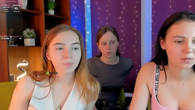 stella flower online show from February 2026 01:52:02 PM