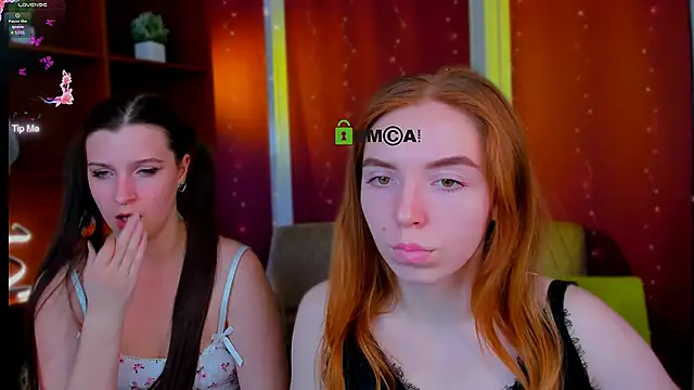 stella flower online show from April 2026 09:16:02 AM