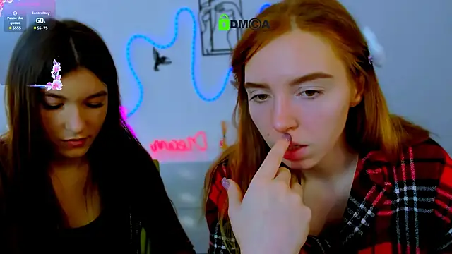 stella flower online show from February 2026 09:31:01 AM