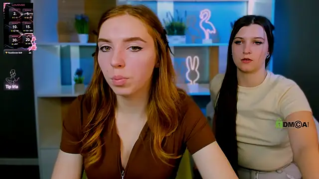 stella flower online show from March 2026 01:45:01 PM