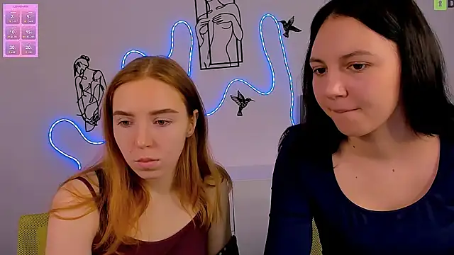 stella flower online show from February 2026 06:42:02 AM