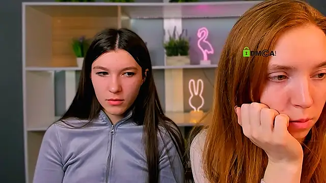 stella flower online show from March 2026 06:20:01 AM