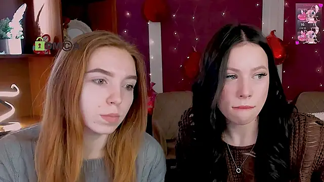 stella flower online show from February 2026 06:11:02 AM