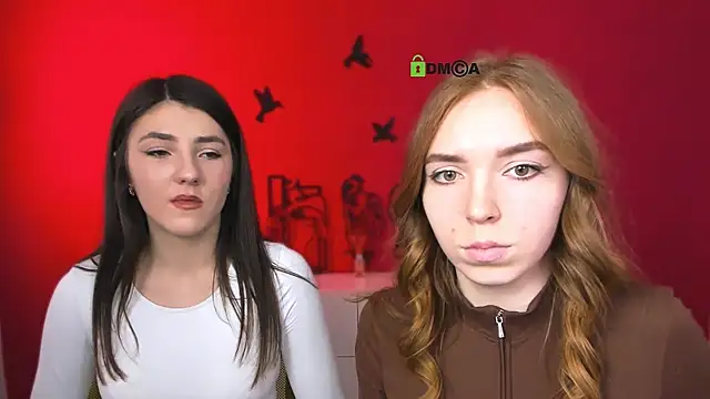 stella flower online show from March 2026 12:36:01 PM