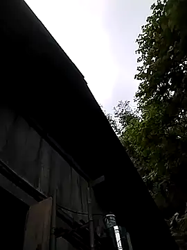 Neoone 1 online show from April 2026 10:39:02 AM