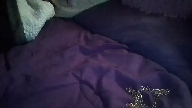 Paradice7 online show from February 2026 06:33:02 AM