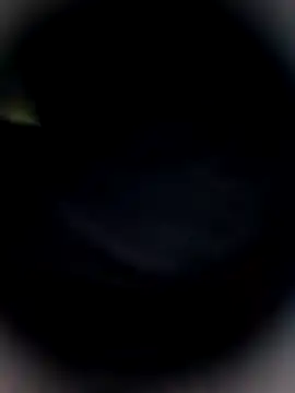 Snapshot of Bengal_Tiger420 chatting on February 2026 10:32:01 PM Bengal Tiger420 online show from February 2026 10:32:01 PM