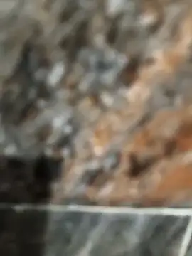 Bengal Tiger420 online show from April 2026 06:33:02 PM