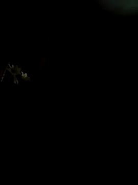 CattingSample online show from April 2026 08:31:01 PM