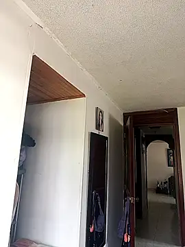 maynor 1998 online show from March 2026 06:08:01 PM