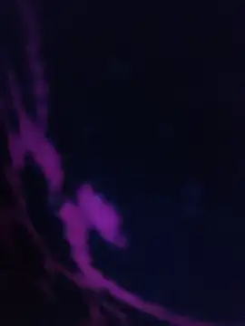 LustyDanky online show from March 2026 05:25:02 PM