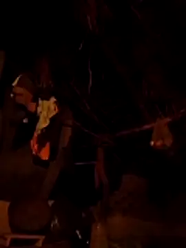 Dipti hote online show from April 2026 02:53:01 PM