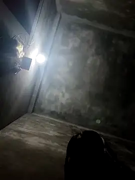 Sgs594802799 online show from March 2026 02:53:01 PM