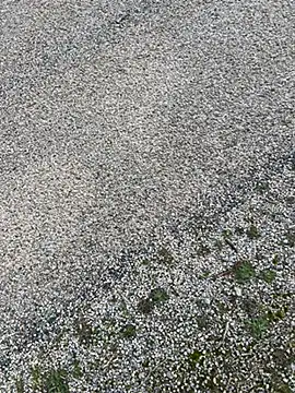 magicdickx21 online show from February 2026 02:08:02 PM