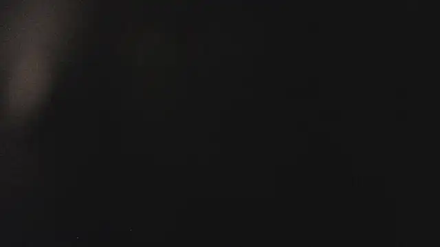 Snapshot of Fancy_Vixen chatting on February 2026 03:51:01 AM Fancy Vixen online show from February 2026 03:51:01 AM