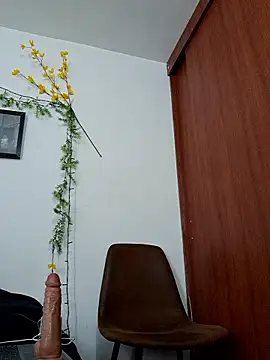 Luis prince  online show from February 2026 06:24:02 PM