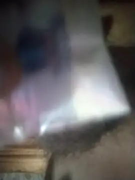 Snapshot of degeneradicto chatting on February 2026 01:25:01 AM degeneradicto online show from February 2026 01:25:01 AM