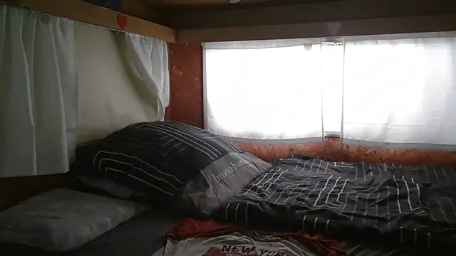 Sylly online show from January 2026 07:48:01 AM