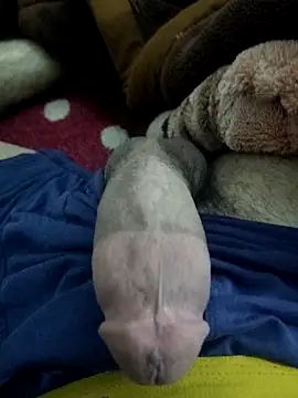 Snapshot of amirMohamed58 chatting on February 2026 09:26:01 PM amirMohamed58 online show from February 2026 09:26:01 PM