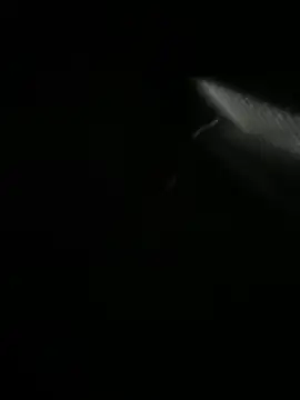 Jordan Blanco online show from March 2026 11:11:02 AM