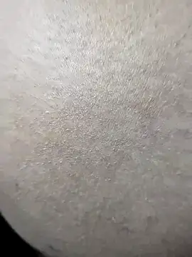 Romantic-Couple999 online show from April 2026 06:26:02 AM