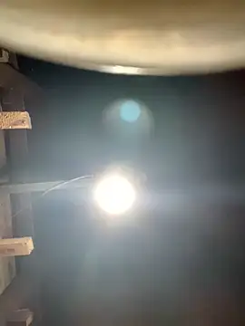 ngoccc-nga online show from March 2026 01:11:02 PM