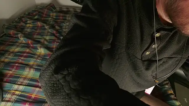 Begamc online show from March 2026 03:40:01 AM