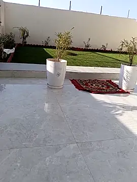 Romantic rakesh 12 online show from February 2026 10:47:01 AM