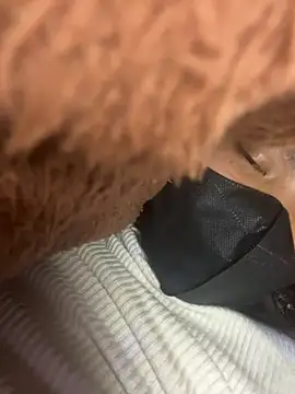 Violin xue online show from February 2026 11:32:01 AM