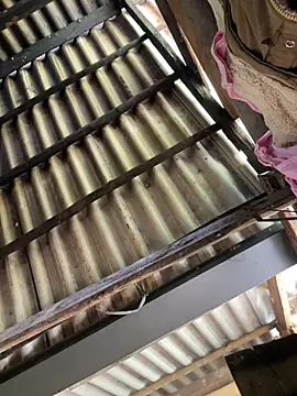 bikhidj online show from April 2026 04:47:02 AM