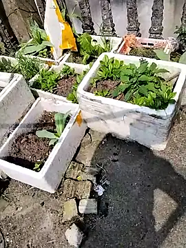 Snapshot of Queen-love45 chatting on March 2026 03:39:02 AM Queen-love45 online show from March 2026 03:39:02 AM