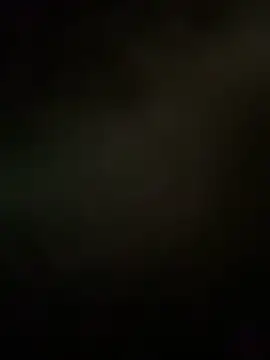 Paige love online show from March 2026 11:06:01 AM