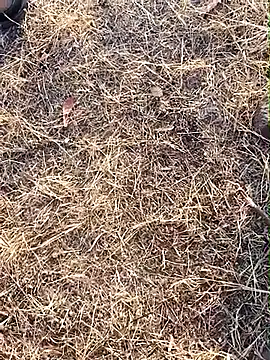 babu bull online show from February 2026 02:33:01 AM