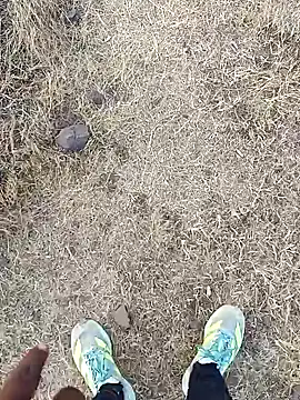 babu bull online show from February 2026 12:36:02 PM