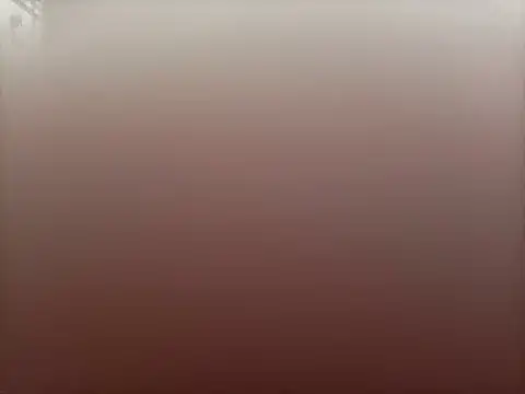 sensualstryp online show from February 2026 06:51:02 PM