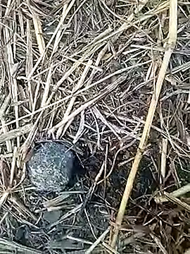 Snapshot of Cute_Boy_4 chatting on February 2026 02:28:01 AM Cute Boy 4 online show from February 2026 02:28:01 AM