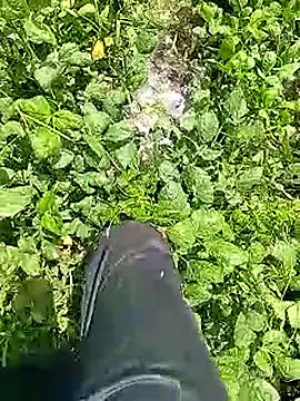 Cute Boy 4 online show from April 2026 06:30:01 AM