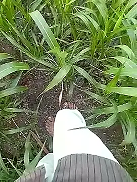 Cute Boy 4 online show from April 2026 02:03:02 AM