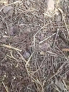 Cute Boy 4 online show from March 2026 07:41:02 AM