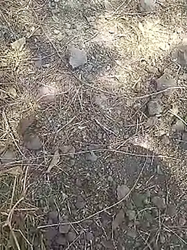 Cute Boy 4 online show from March 2026 08:10:01 AM