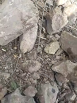 Cute Boy 4 online show from March 2026 06:48:02 AM