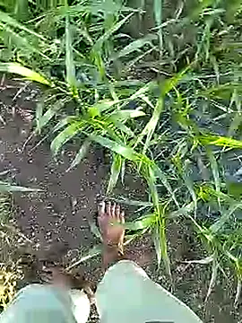 Cute Boy 4 online show from April 2026 02:40:01 AM