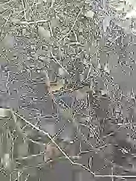 Cute Boy 4 online show from April 2026 07:37:02 AM