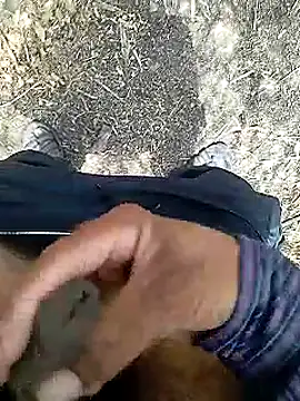 Cute Boy 4 online show from June 2026 08:19:02 AM