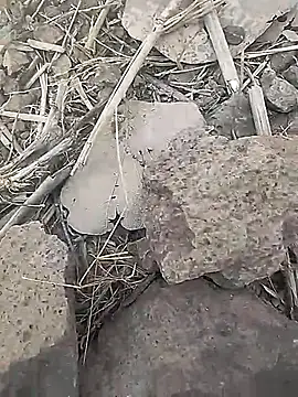 Snapshot of Cute_Boy_4 chatting on February 2026 07:39:01 AM Cute Boy 4 online show from February 2026 07:39:01 AM