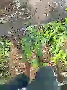 Snapshot of Cute_Boy_4 chatting on July 2026 04:31:01 AM Cute Boy 4 online show from July 2026 04:31:01 AM