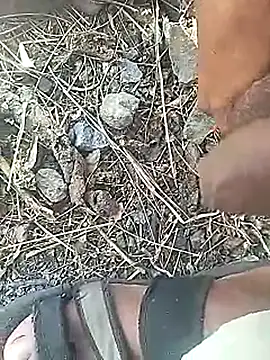 Cute Boy 4 online show from March 2026 07:00:02 AM