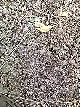 Cute Boy 4 online show from April 2026 07:32:02 AM