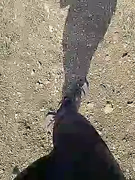 Cute Boy 4 online show from April 2026 04:19:01 AM